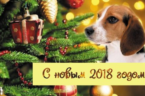 Поздравляем с новым годом 2018!