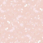 T-020-Sunstar